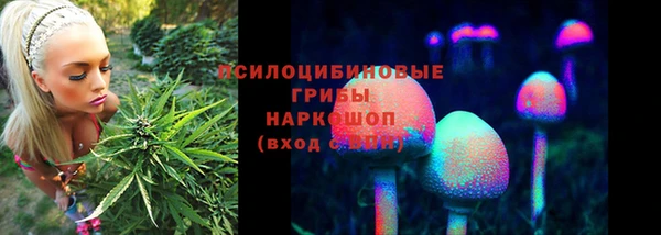 соль ск Белокуриха