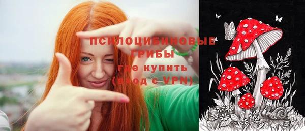 ПСИЛОЦИБИНОВЫЕ ГРИБЫ Балахна